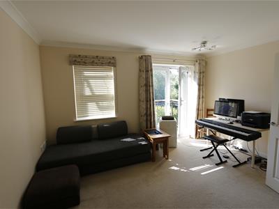 Picture 8